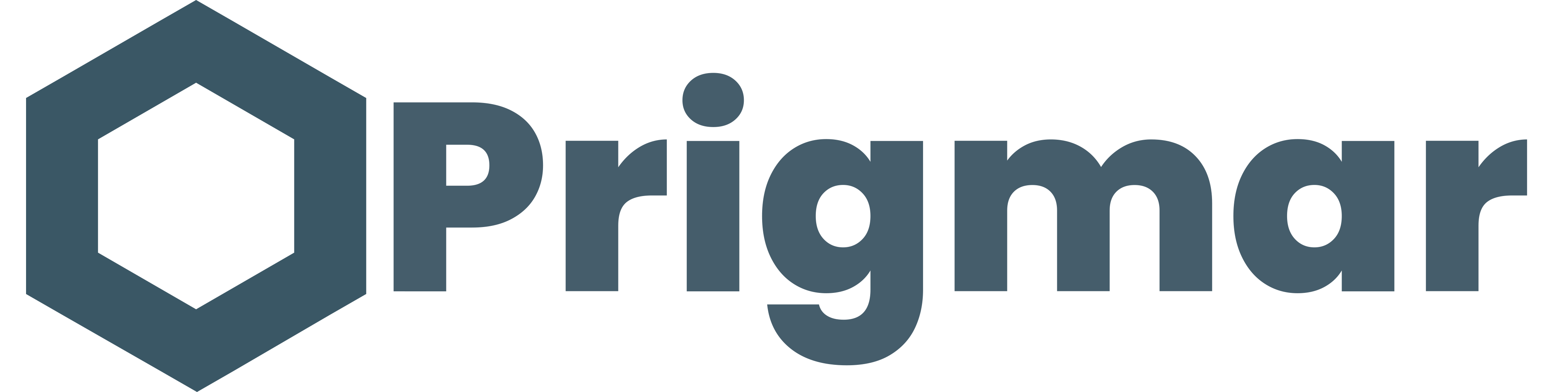 Prigmar logo